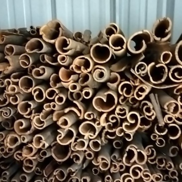 桂皮干货