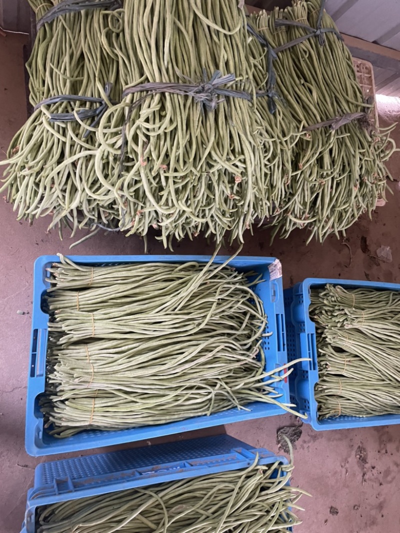需要的朋友可以联系我