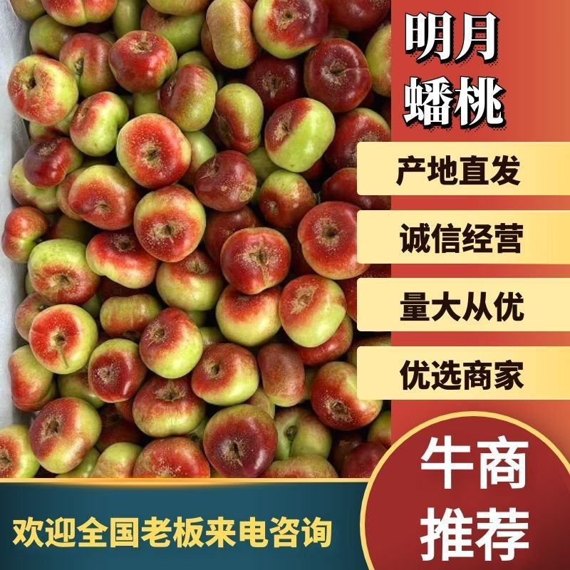 【优选】威县明月蟠桃产地鲜货直发质量保障欢迎致电谈