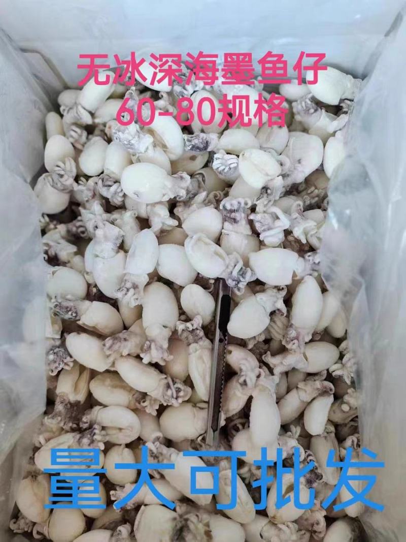 北海干冰墨鱼仔鲜活冷冻海鲜水产去皮鲜冻花枝卷小乌贼目鱼仔