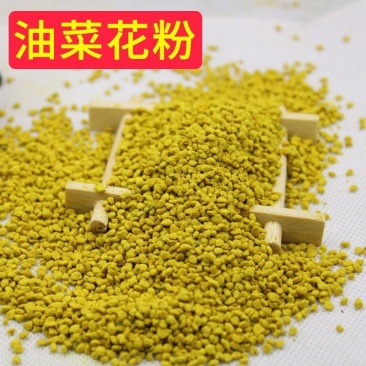 老店信誉产品油菜花粉活性蜂花粉新货无硫规格齐全