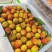 精品荔枝广东妃子笑荔枝纯甜多汁产地直供品质保障