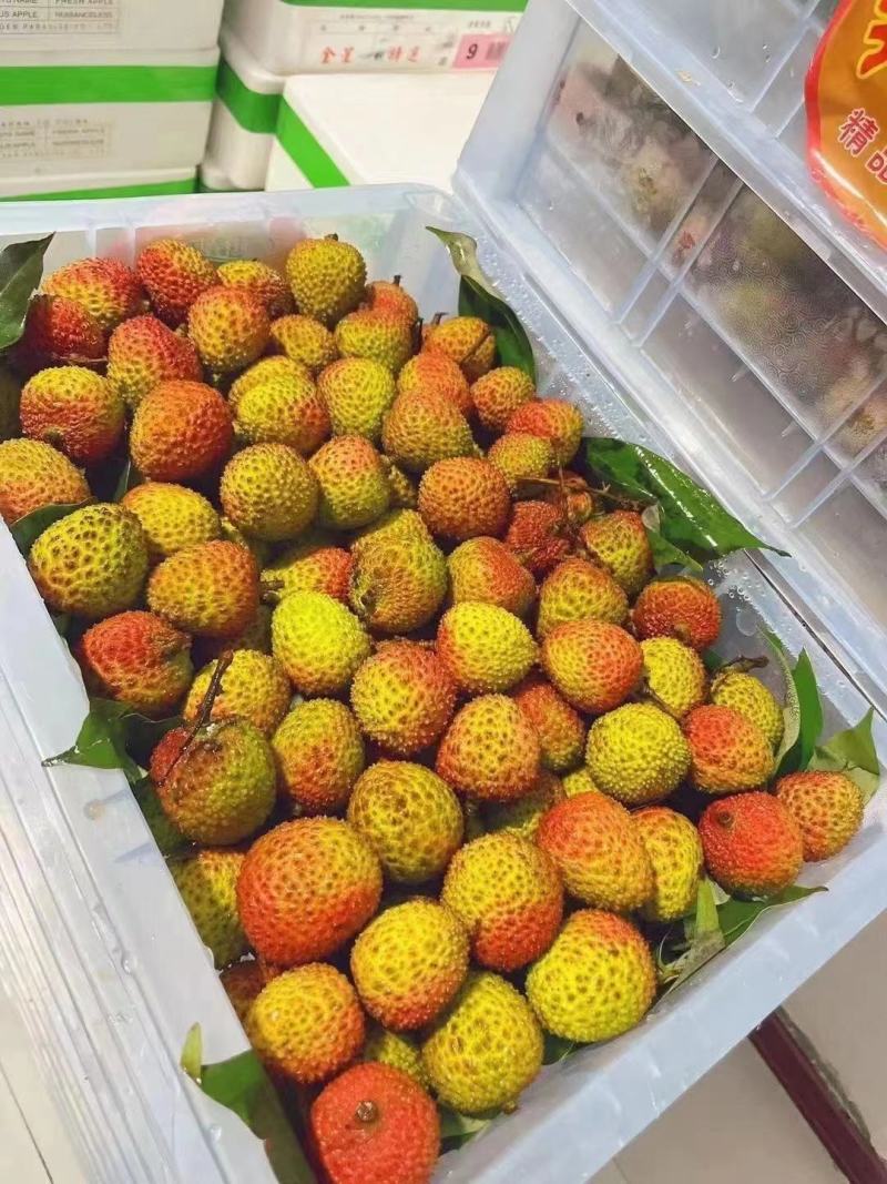 精品荔枝广东妃子笑荔枝纯甜多汁产地直供品质保障