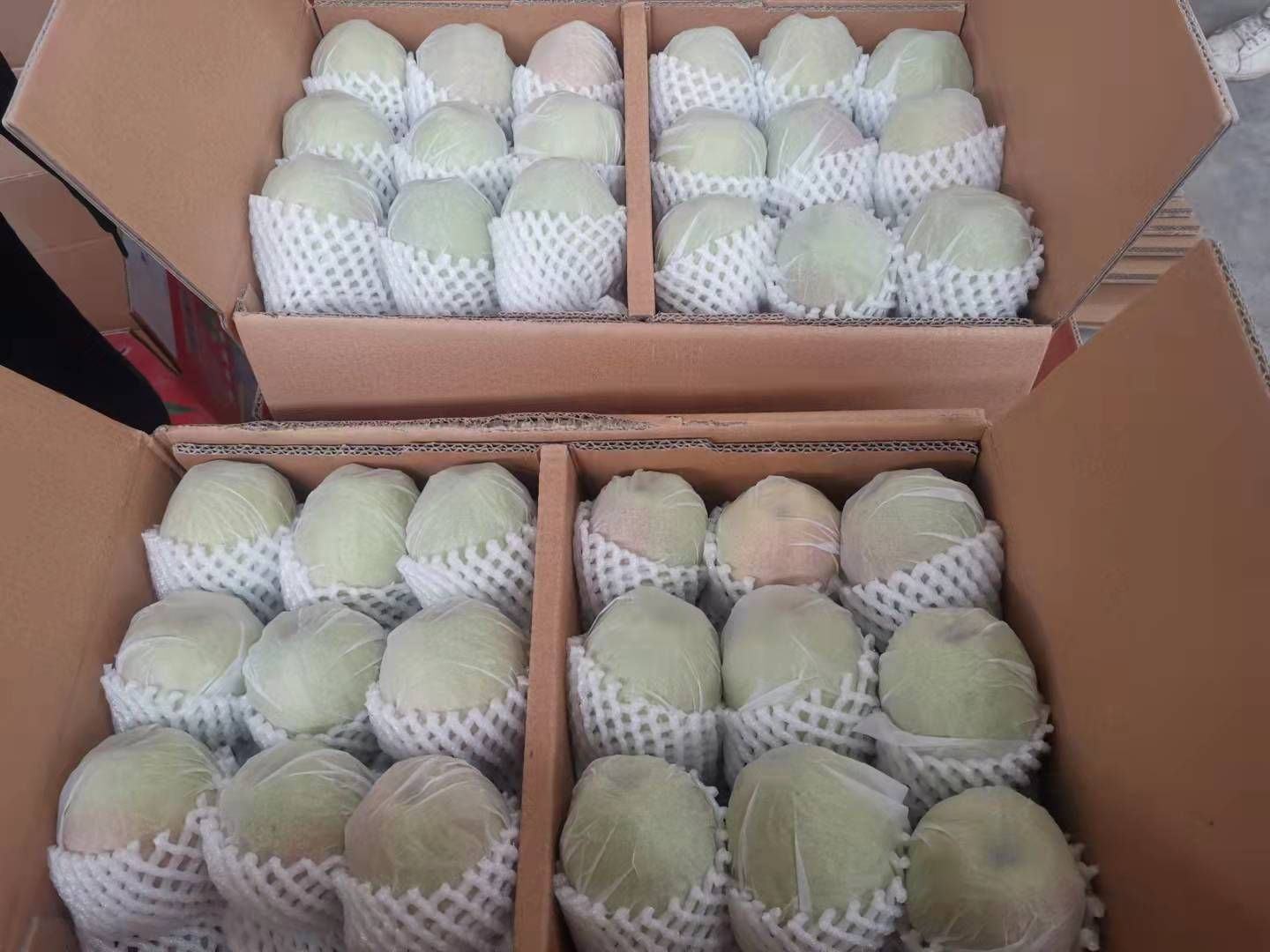 若羌红枣包装与储藏示意图