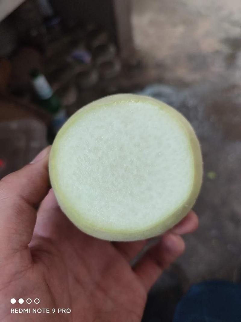 桃大久保桃罐头桃产区直发保质保量
