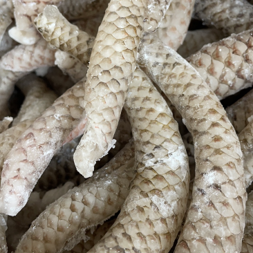 鱼皮罗非鱼皮捞汁小海鲜食材泡椒鱼皮