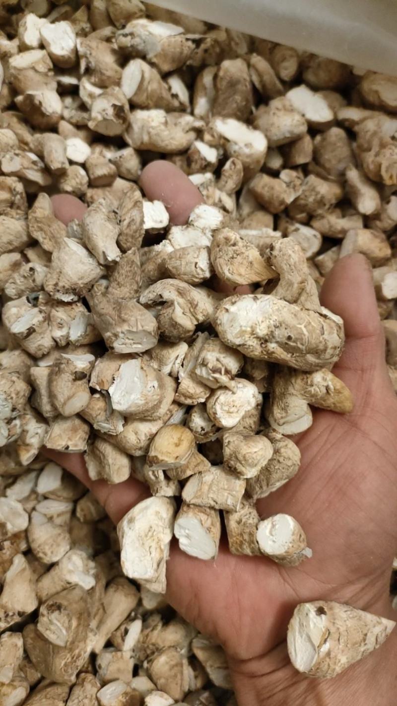 【精选】精选香菇干菇脚人工精选双剪量大从优，欢迎进店