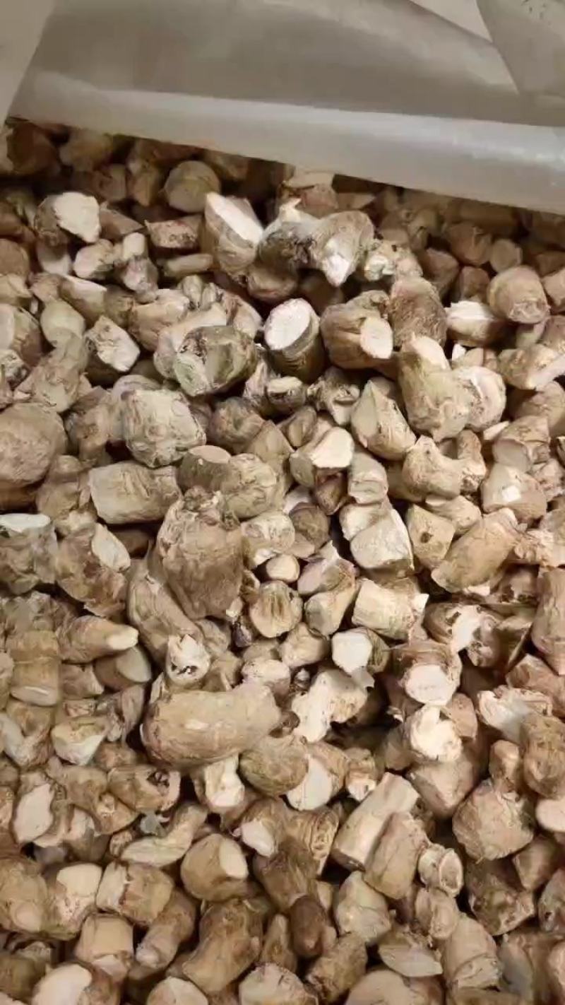 【精选】精选香菇干菇脚人工精选双剪量大从优，欢迎进店