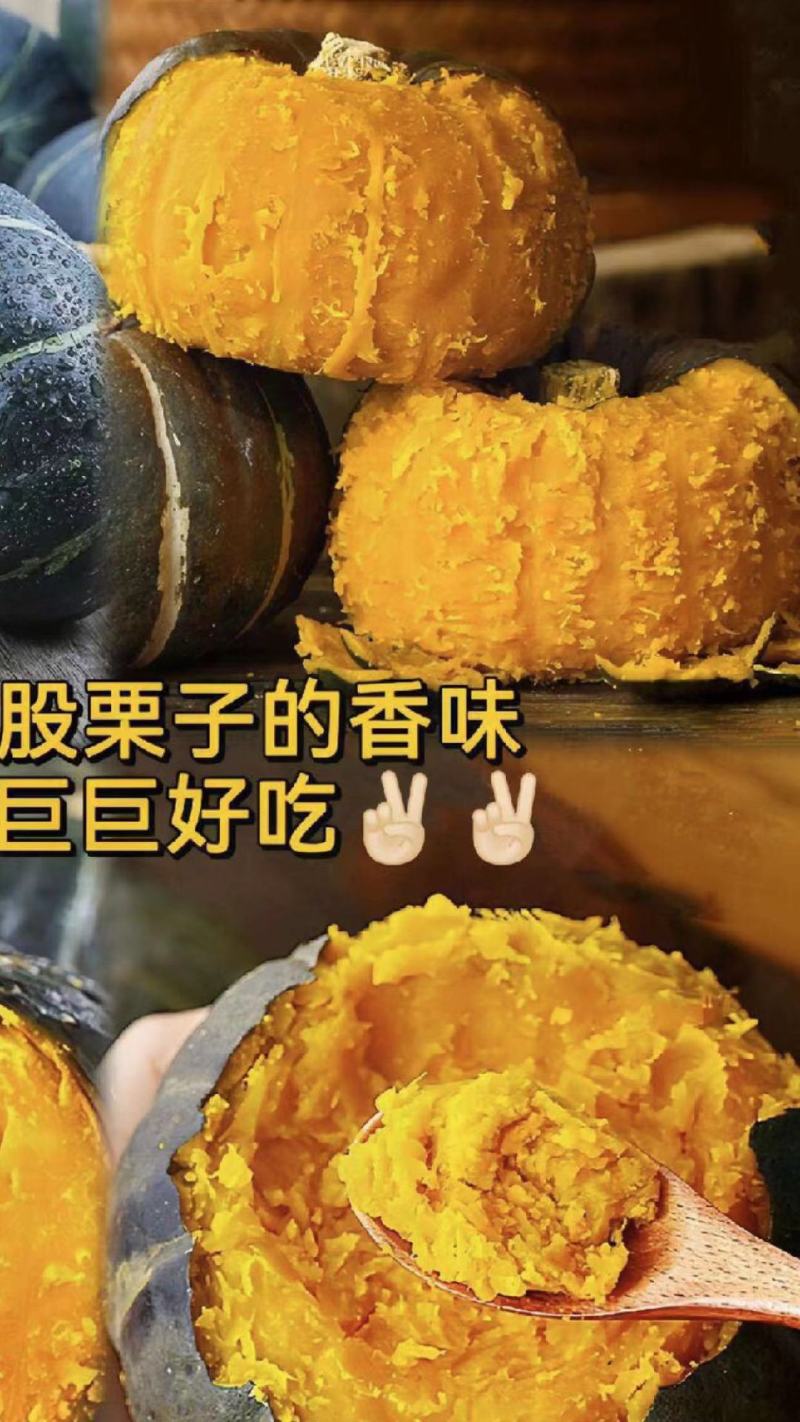 陕西精品板栗南瓜，银栗贝贝南瓜，基地直发货源充足产地直发