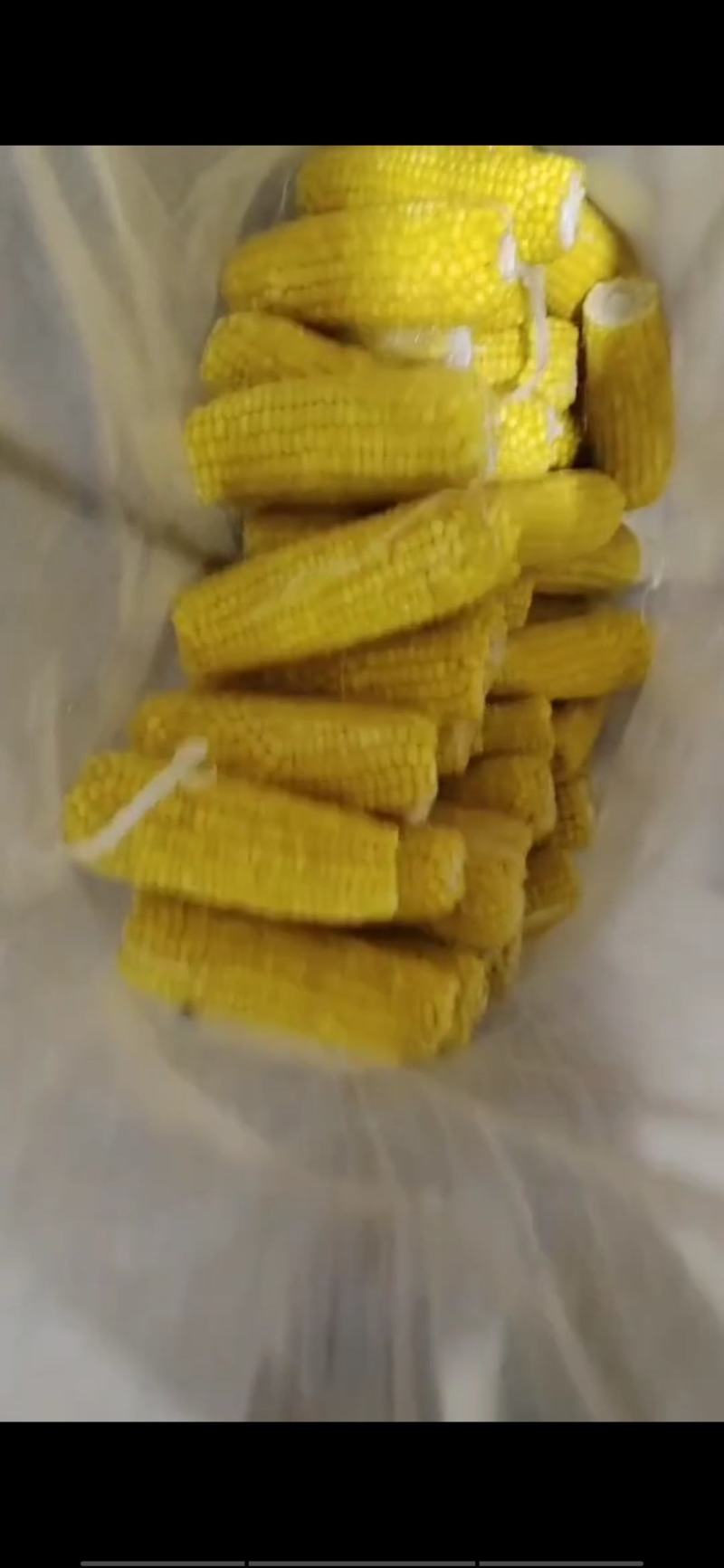 出售真空包装玉米