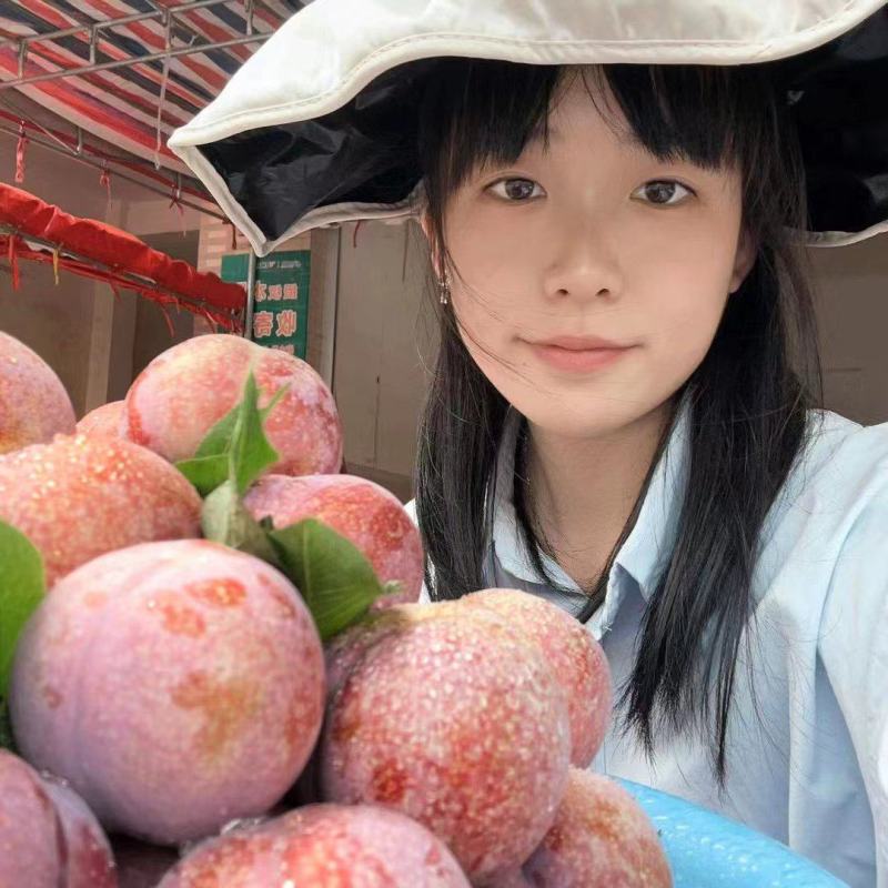 正宗钱排银妃三华李，供货稳定，品质保证，诚信经营。