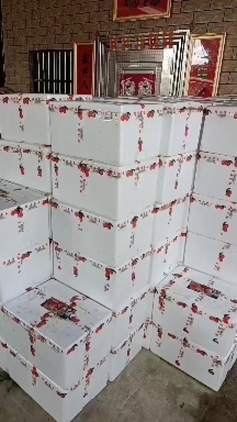 妃子笑大量上市，产地茂名电白，有需要的联系我