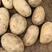 土豆精品沃土中暑品种齐全产地视频看货欢迎订购