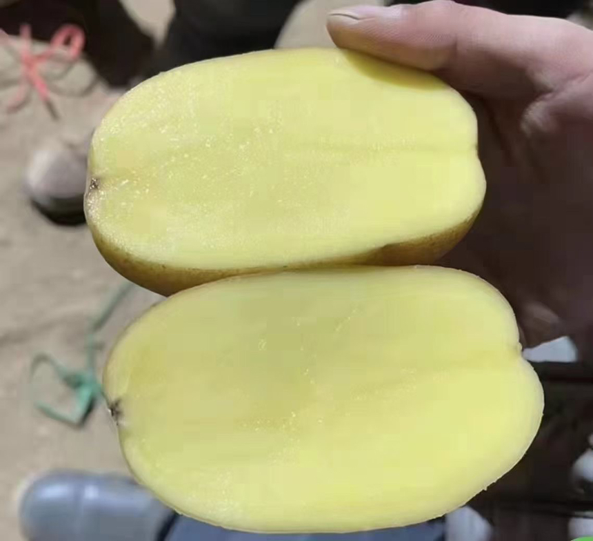 红烧肉中搭配切块的荷兰十五号土豆,色泽金黄,酱汁浓郁 红烧肉与荷兰十五号土豆搭配图