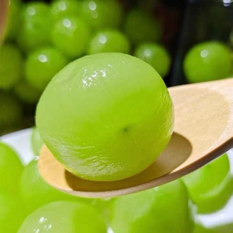 葡萄阳光玫瑰大量有货欢迎各位老板过来采购