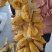 新品推荐海南榴莲蜜长孟尖短孟尖榴莲味菠萝蜜蜜