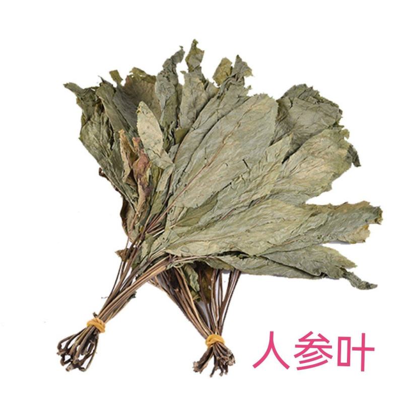批发现货人参叶长白山特产人参叶子一件代发大货供应