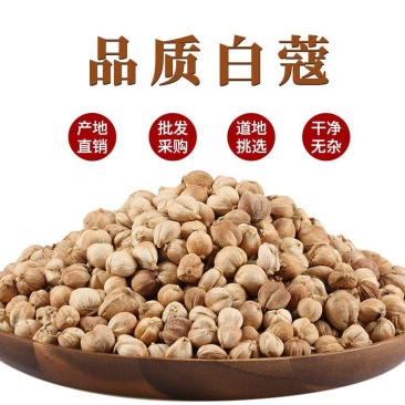 批发现货白豆蔻白叩香料大全香料一件代发量大优