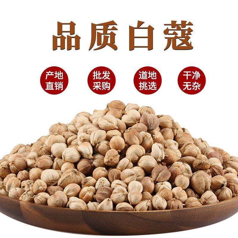 批发现货白豆蔻白叩香料大全香料一件代发量大优