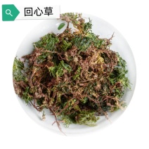 中药材批发零售回心草茴心草铁脚一把伞一件代发货