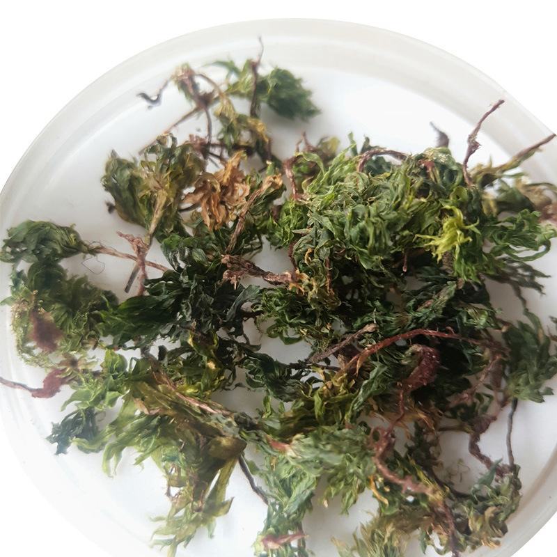中药材批发零售回心草茴心草铁脚一把伞一件代发货
