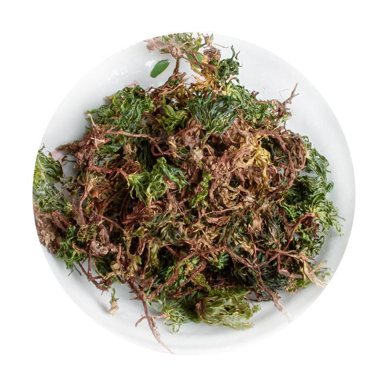 中药材批发零售回心草茴心草铁脚一把伞一件代发货