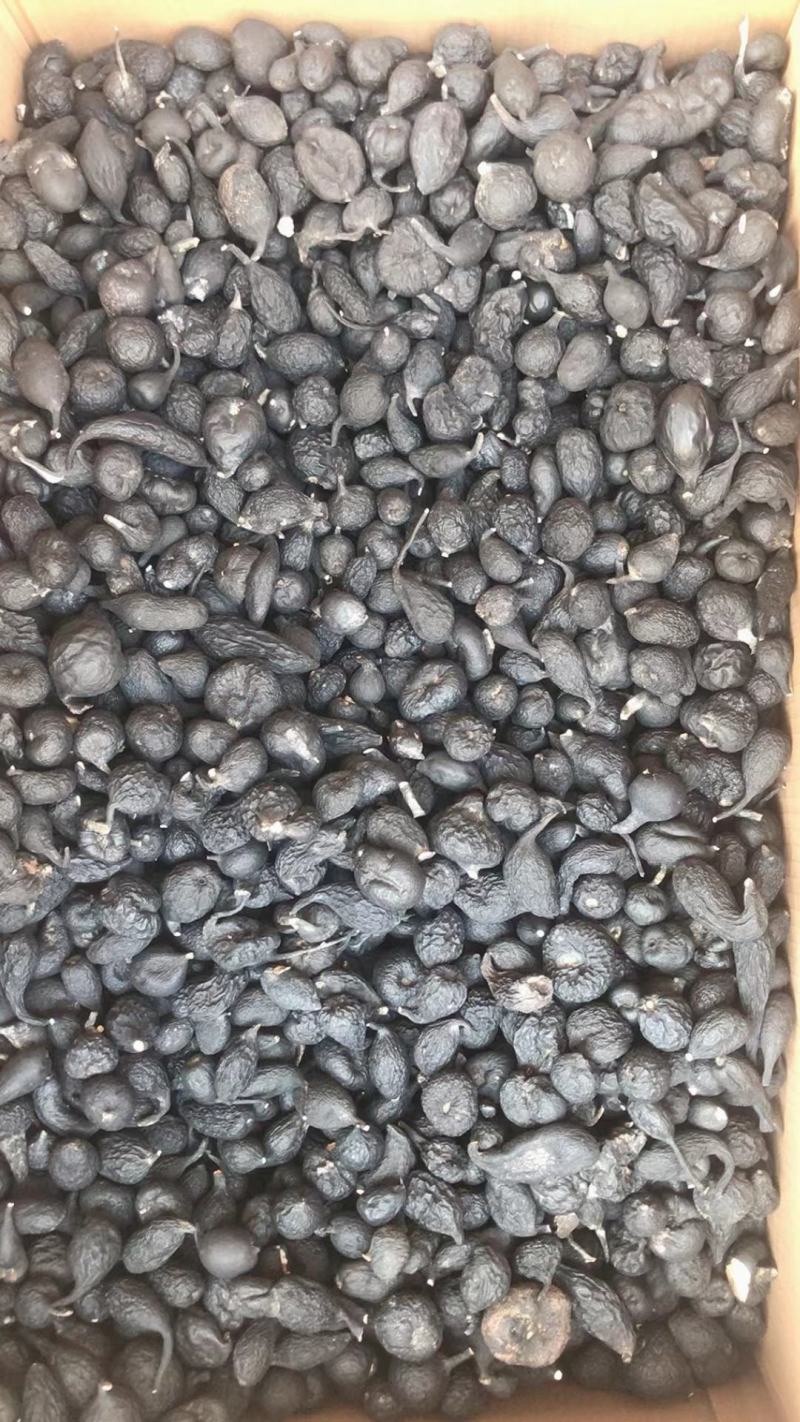 乌灵参足干货，香味浓乌东菌，鸡枞蛋，冷背药材