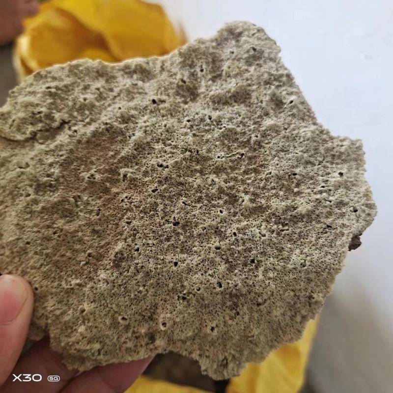 紫梢花，各种规格，淡水海绵，冷背药材