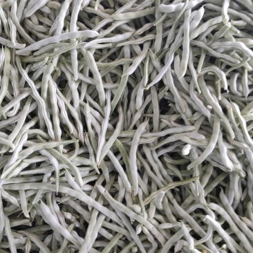 白豆角大量上市中，质量好你格不高要货请联系