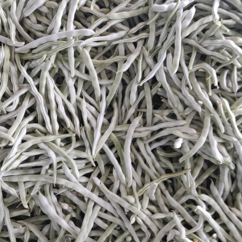 白豆角大量上市中，质量好你格不高要货请联系