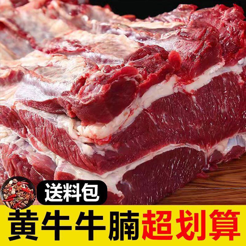 【新鲜整块牛腩肉】草原散养黄牛原切牛腩生牛肉食材批发