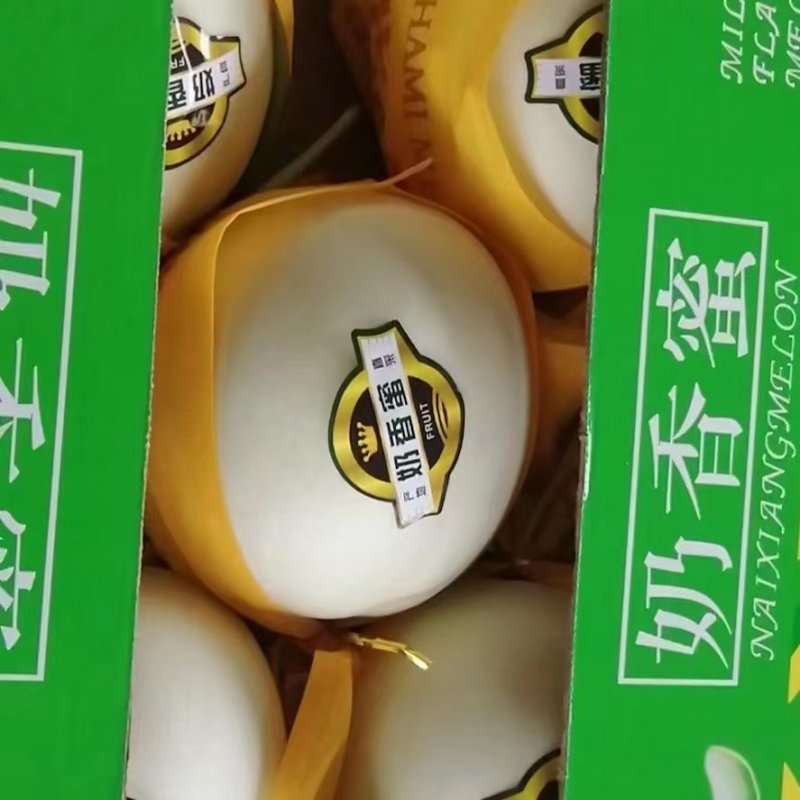 玉菇