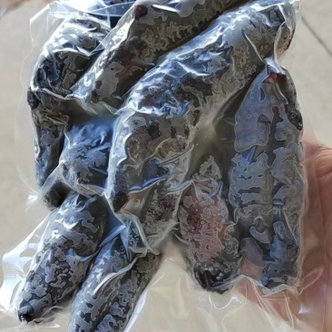 乌参，岩参，大乌参，乌梅参，鲍汁扣乌参，红烧乌参