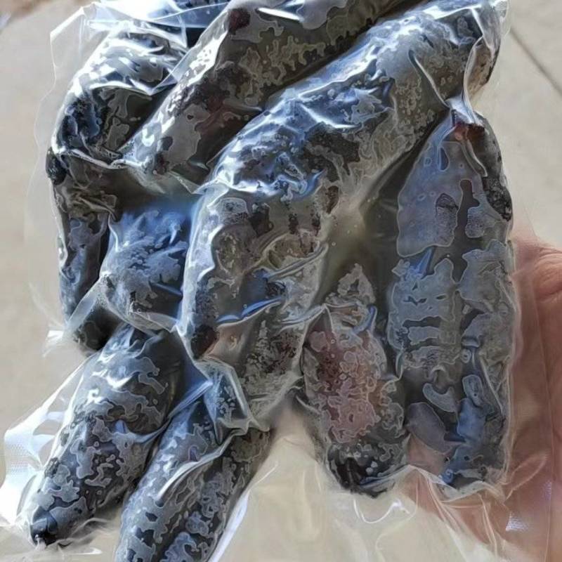 乌参，岩参，大乌参，乌梅参，鲍汁扣乌参，红烧乌参