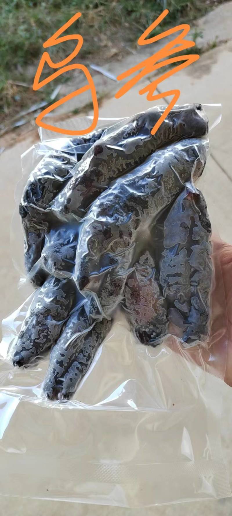 乌参，岩参，大乌参，乌梅参，鲍汁扣乌参，红烧乌参