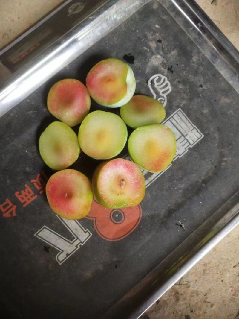 三华李