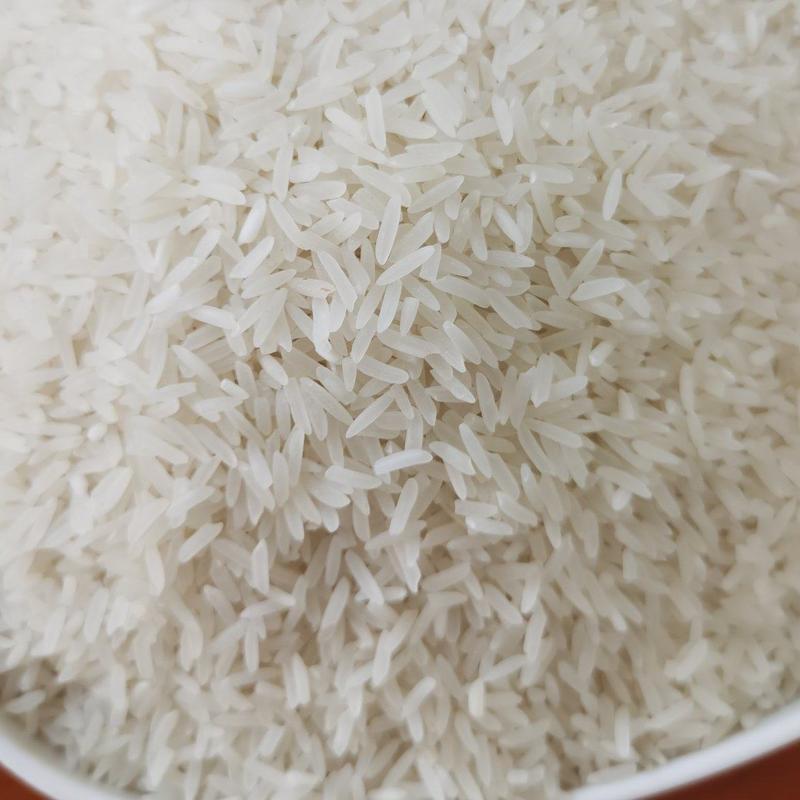 【推荐】大米云安特产丝苗香米精致包装保质保量发往全国