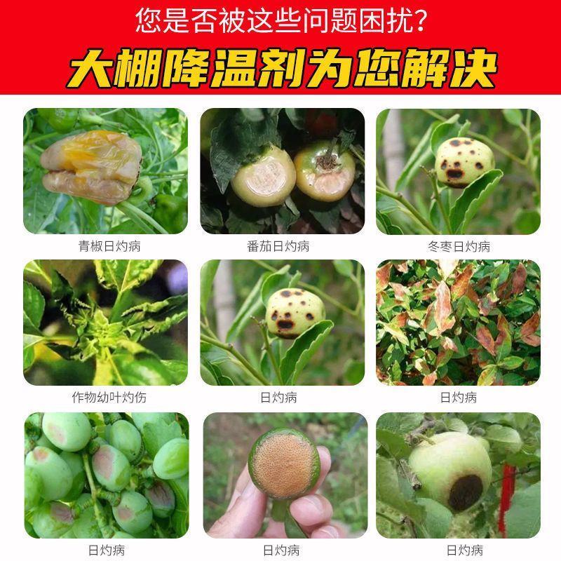 降温涂料蔬菜大棚降温剂贝贝降温剂立凉降温剂