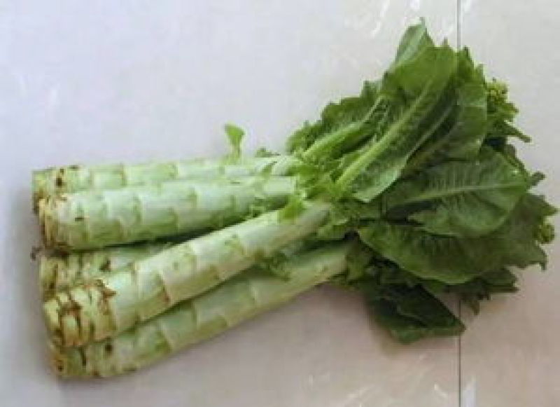 阿坝州，汶，茂，理三县蔬菜种植基地三青莴笋