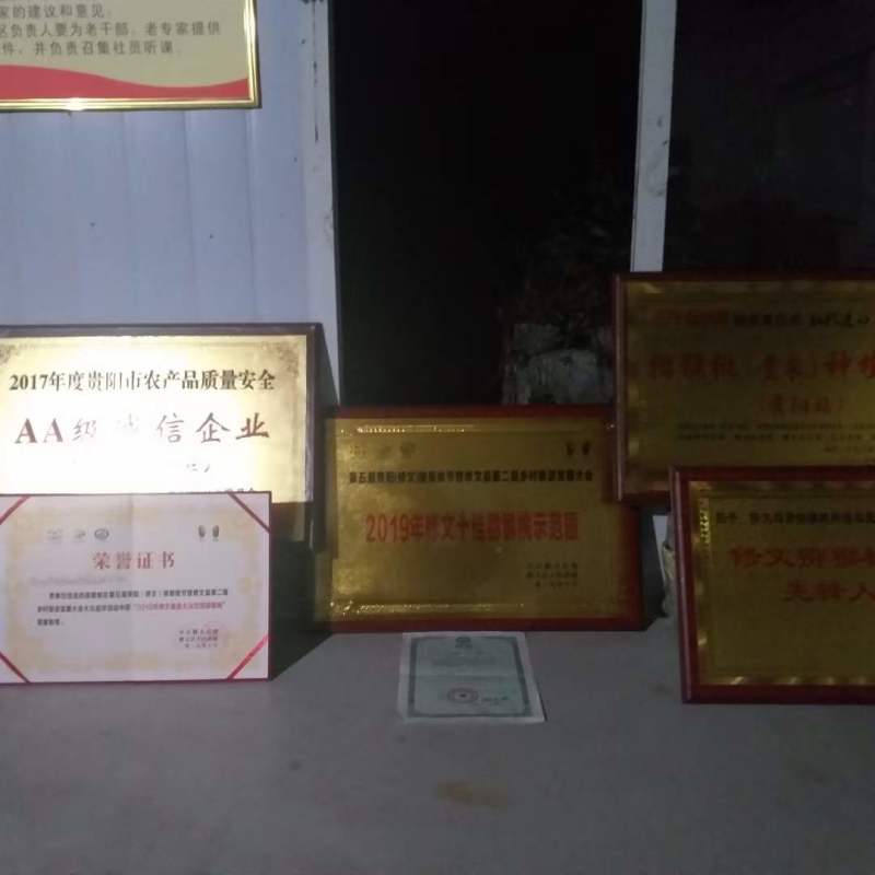 贵州猕猴桃贵长品种零担整车一件代发合作社一手货源年产万吨