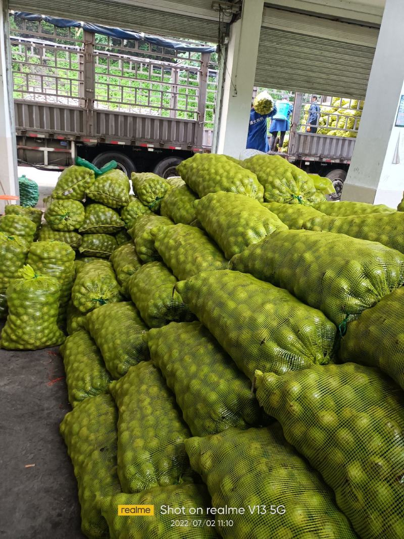 青皮核桃