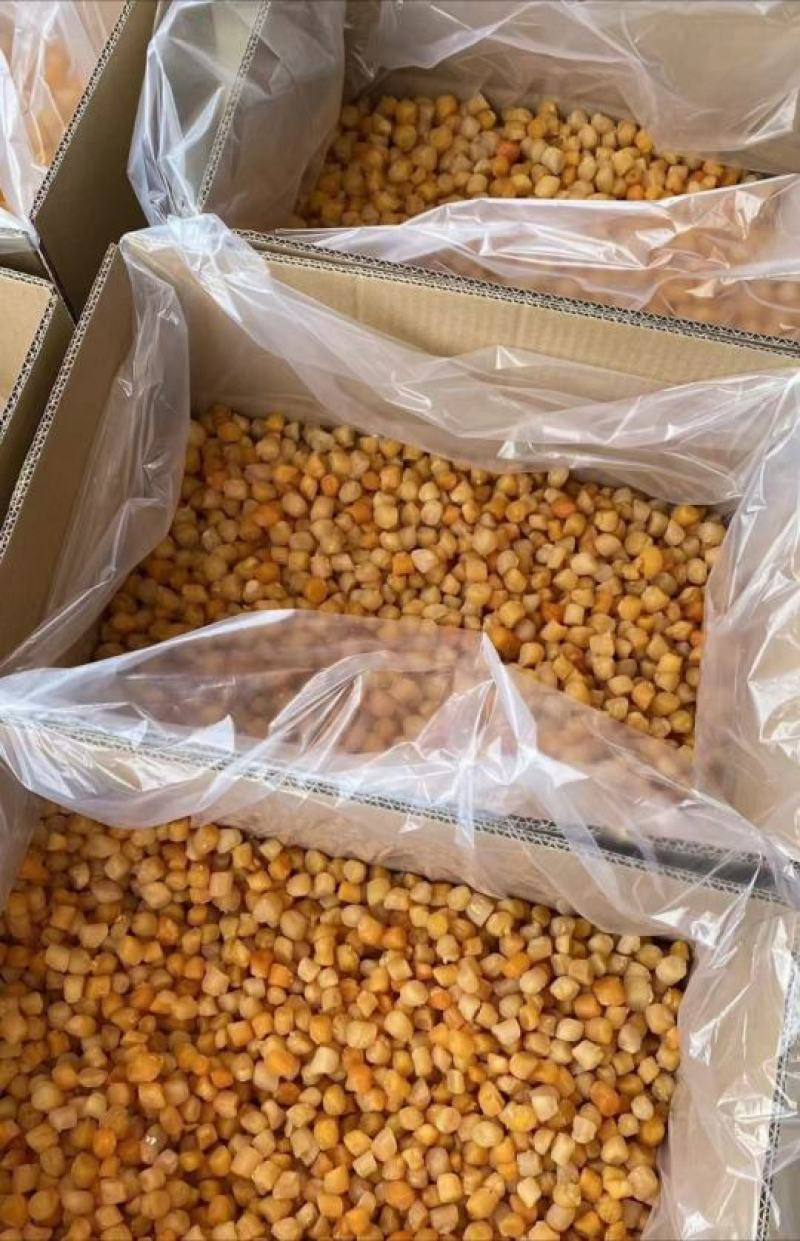 湛江干贝黄金扇贝瑶柱新晒产品粒大色亮看货优惠价