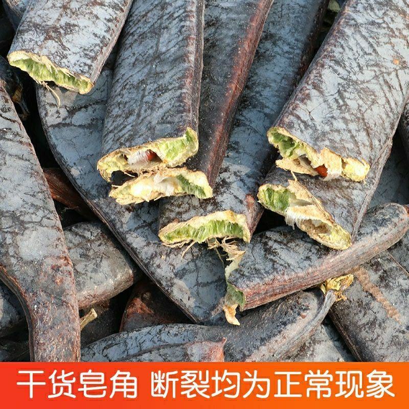 皂角野生新鲜皂角现摘皂荚洗头泡水煮水大皂角个正品中药