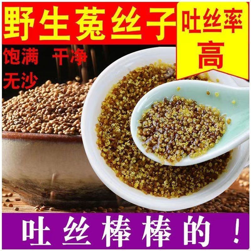 【男士加油站】正宗内蒙古野生菟丝子干净无硫免洗泡茶泡酒农
