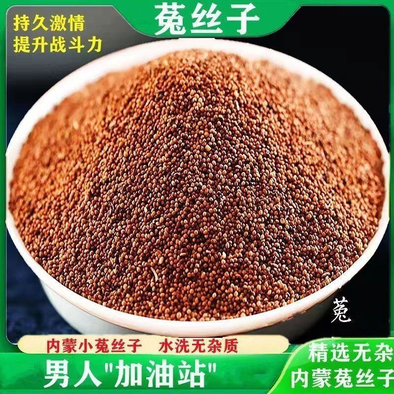【男士加油站】正宗内蒙古野生菟丝子干净无硫免洗泡茶泡酒农
