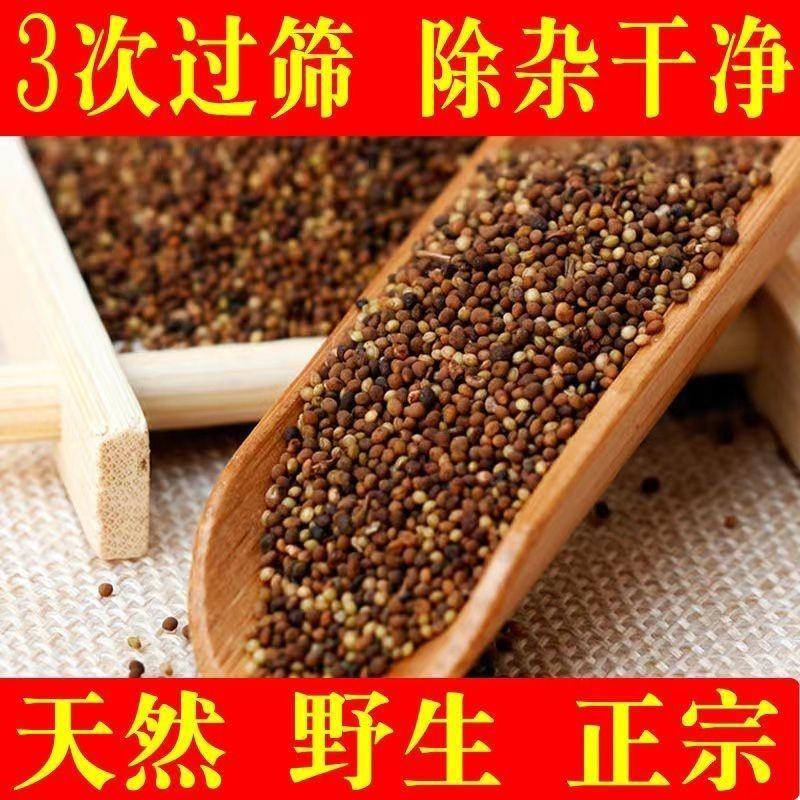 【男士加油站】正宗内蒙古野生菟丝子干净无硫免洗泡茶泡酒农