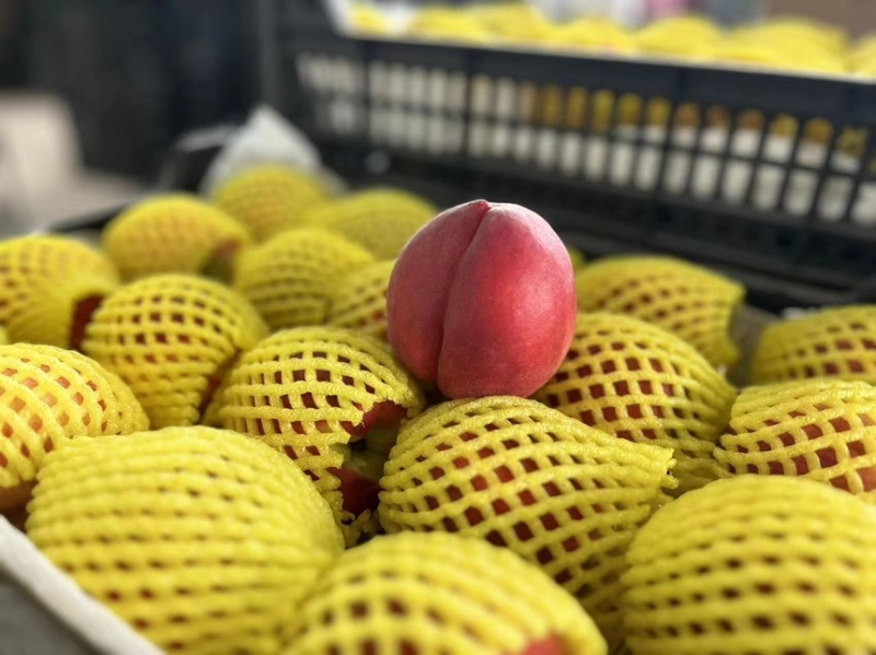 桃