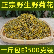 野菊花500g包邮野菊米胎菊另有特级野生清热去火降