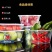 一次性餐盒圆碗长方形塑料饭盒水果外卖汤粉便当打包盒加厚带