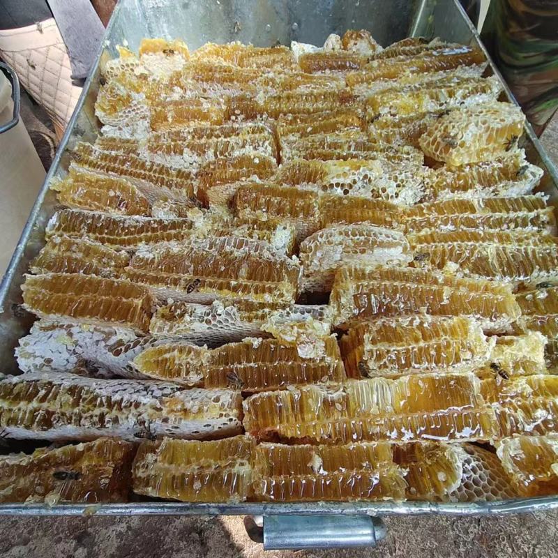 蜂巢蜜，纯正中蜂巢蜜，深山定点养殖，一年割一次蜜，花香味